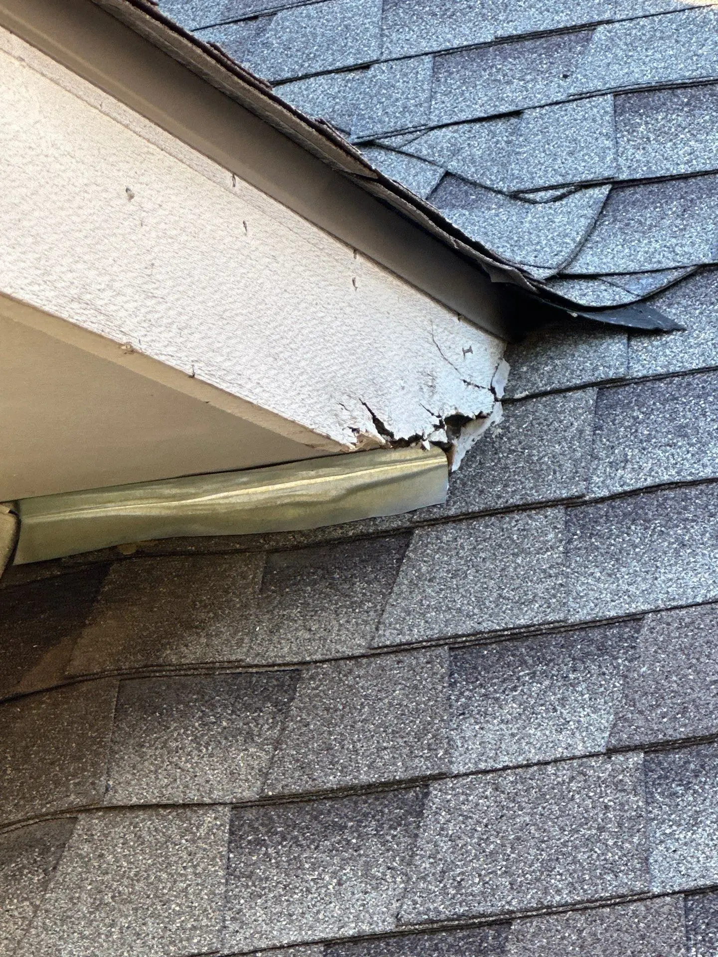 Rodent damage repair in Cedar Park