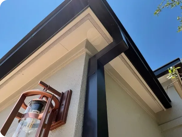 Ark consultant reviewing gutter style options with a Georgetown homeowner